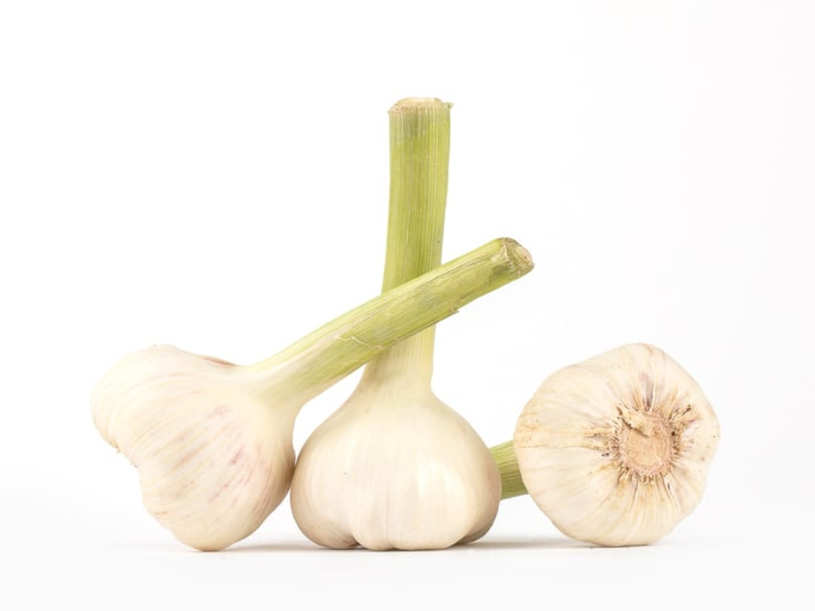 Knoblauch trocken
