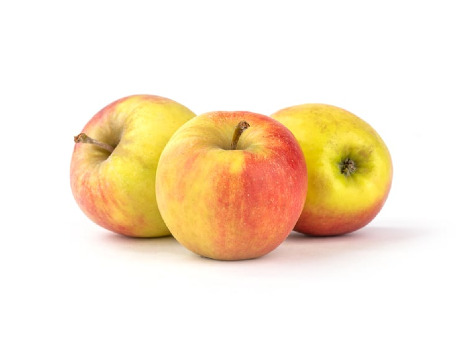 Apfel Elstar neue Ernte