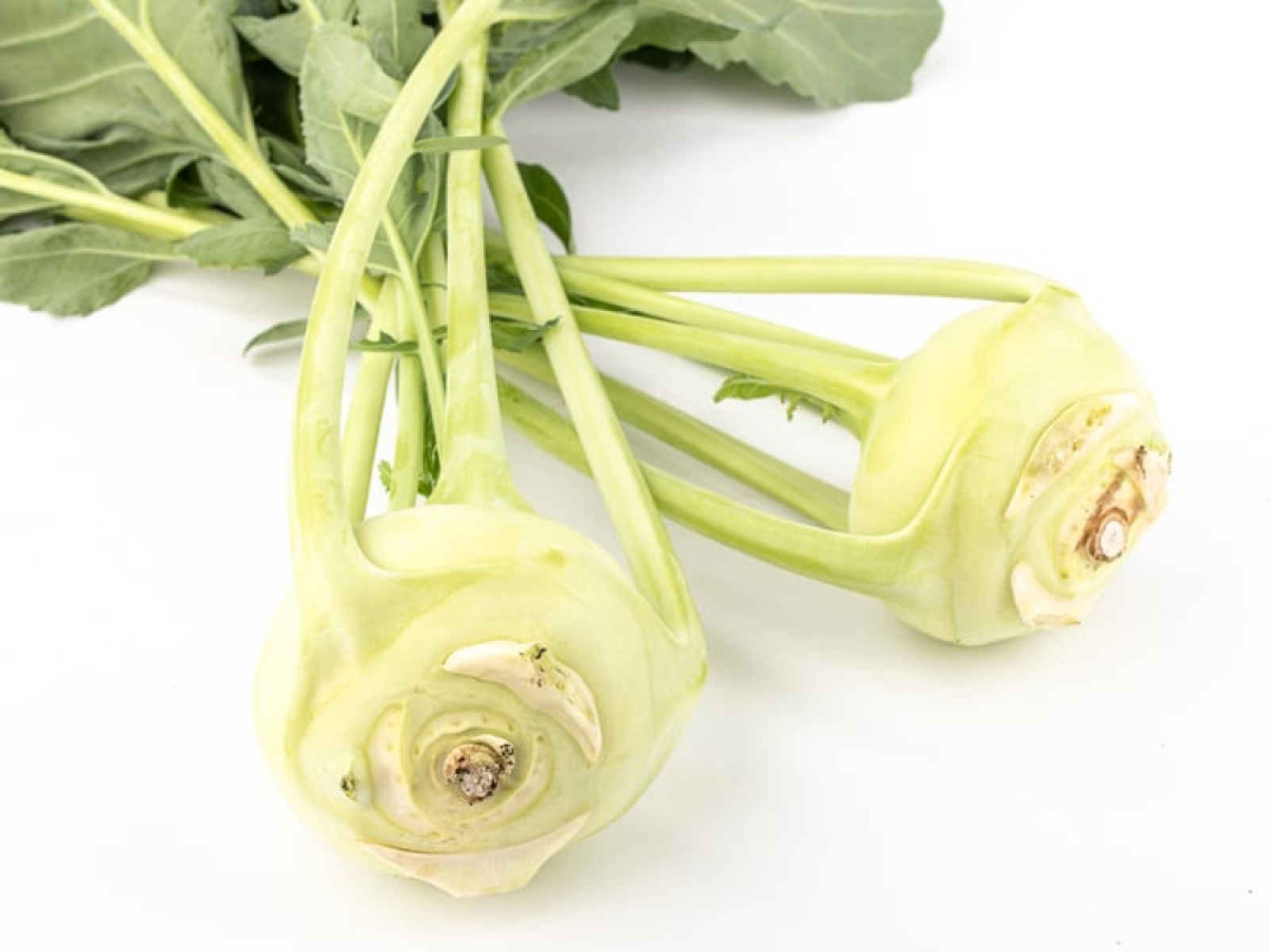 Kohlrabi