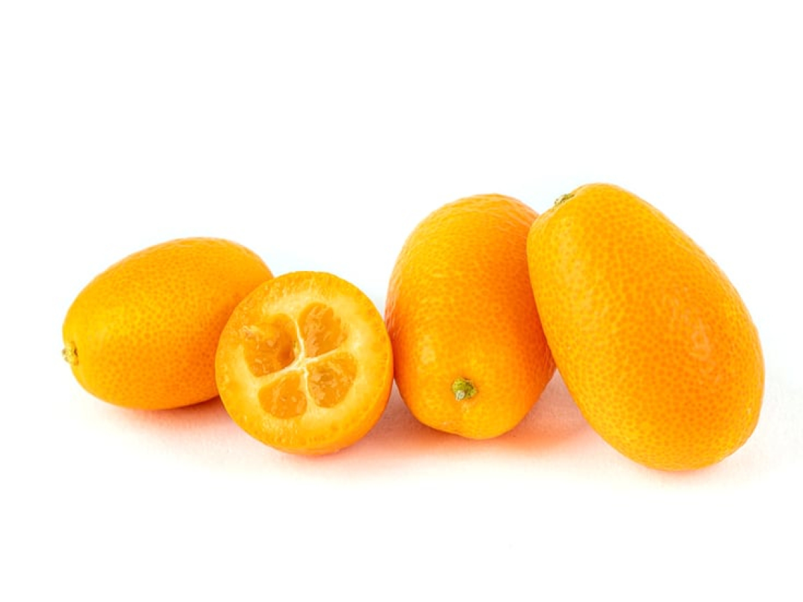 Kumquat