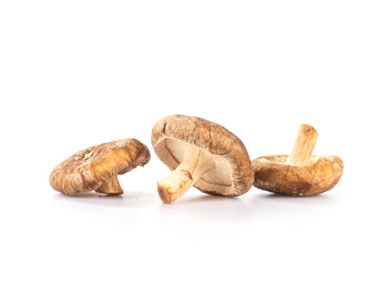 Shiitake