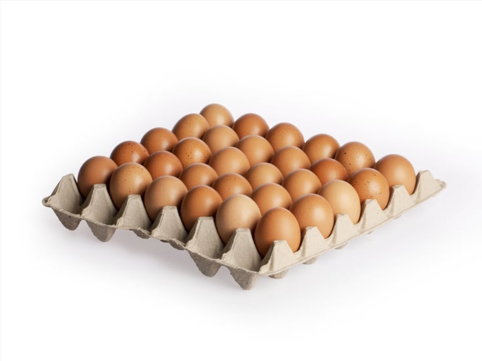 b*Eier, Größe M/L, lose