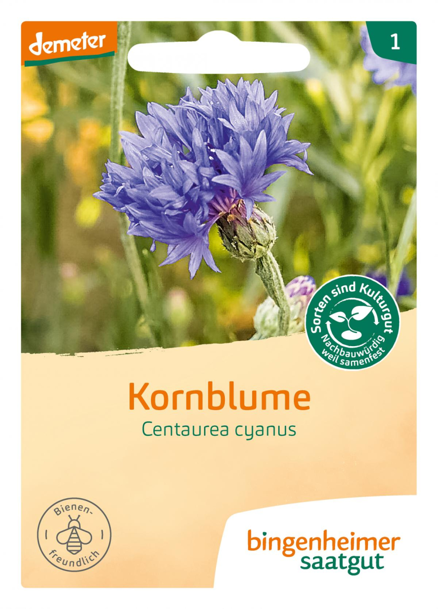 Kornblume
