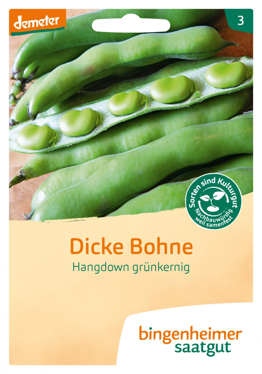 Dickebohne Hangdown