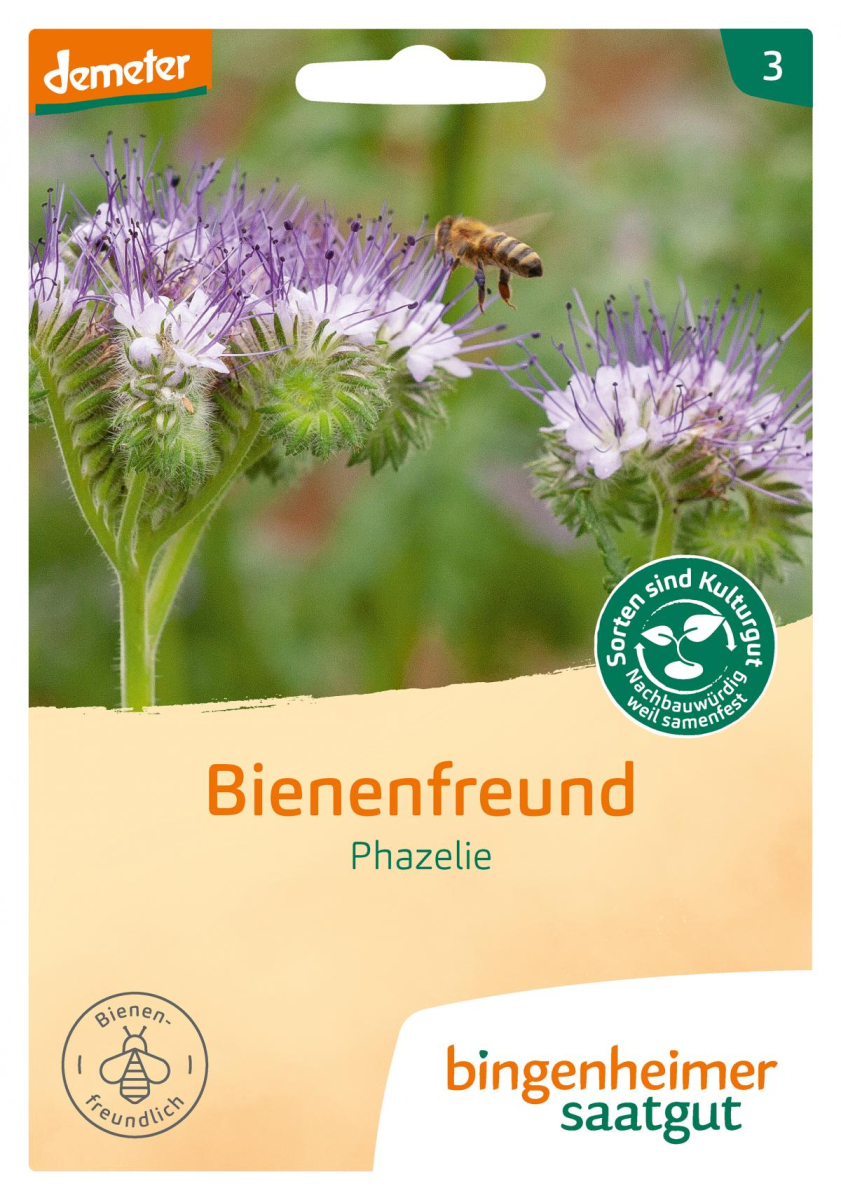 Gründünger Phacelia