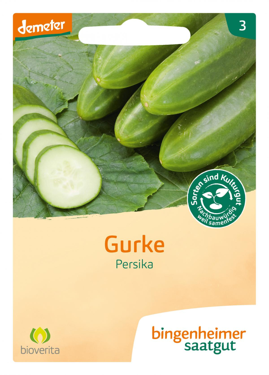 Freilandgurke Persika