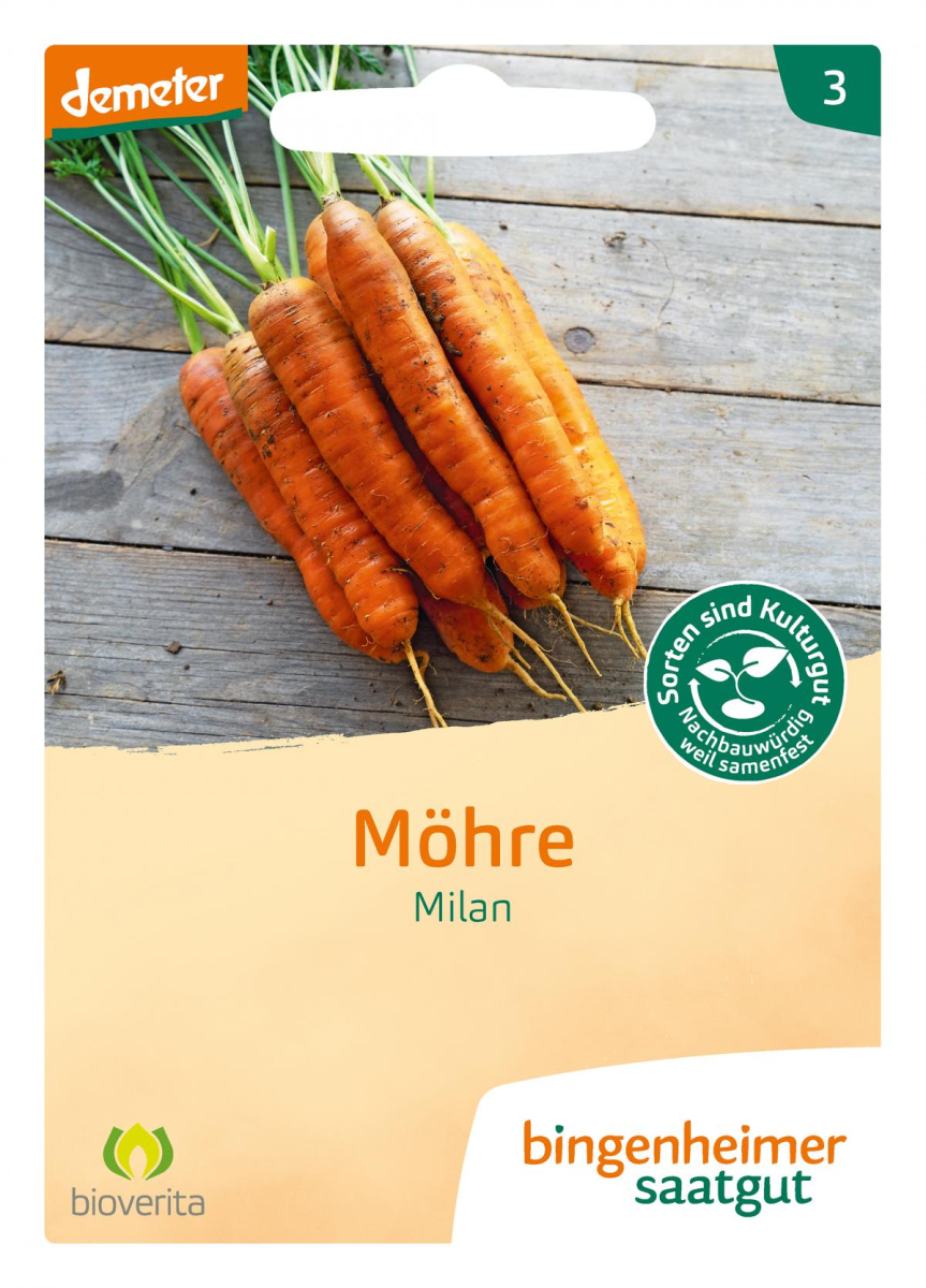 Möhre Milan