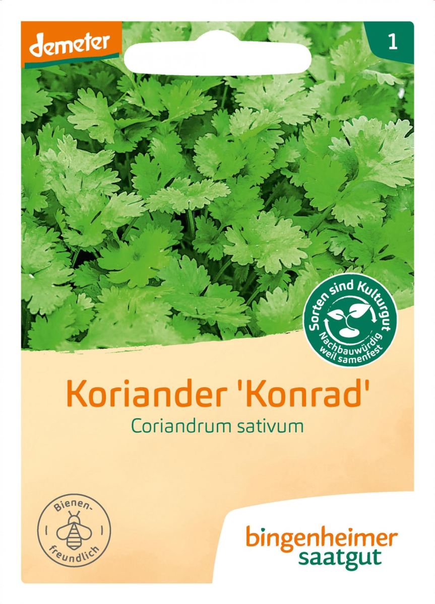Koriander