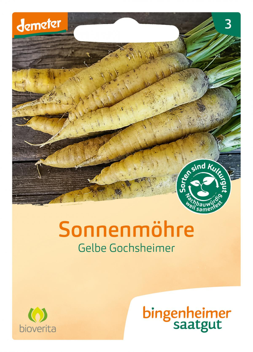 Möhre spät Gelbe Gochsheimer