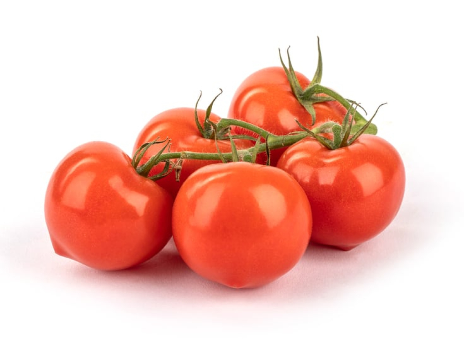 Strauchtomaten
