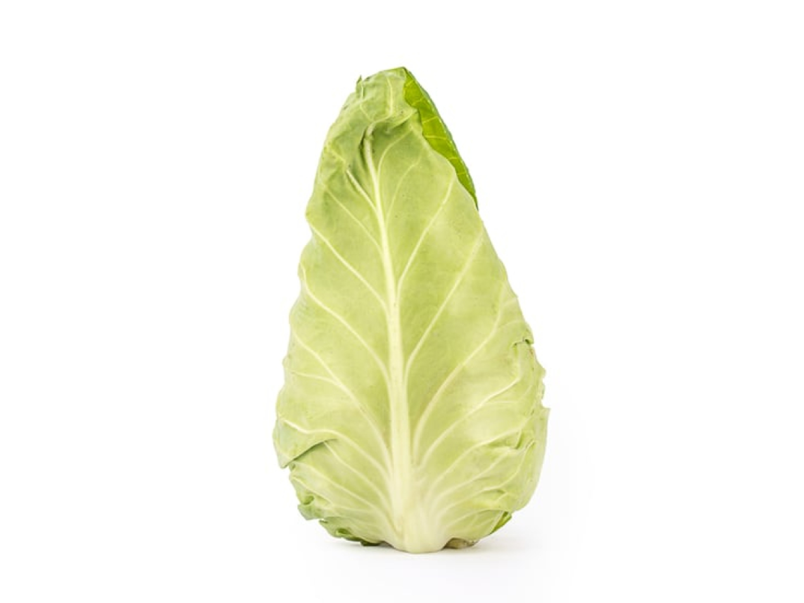 Spitzkohl