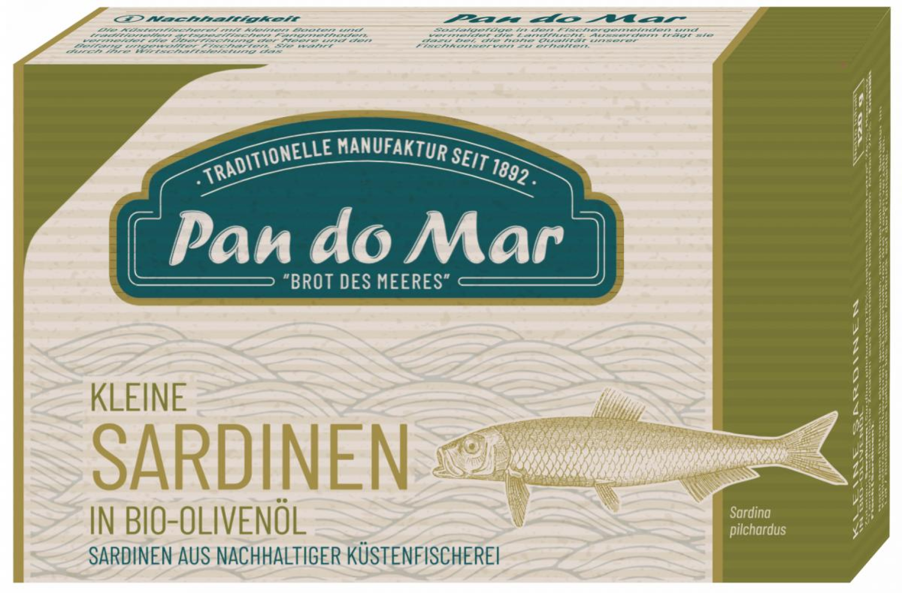 Kleine Sardinen in Olivenöl