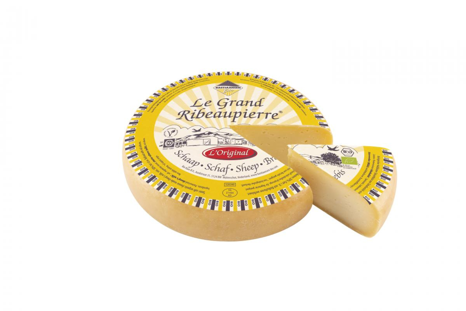 Ribeaupierre - Schaf